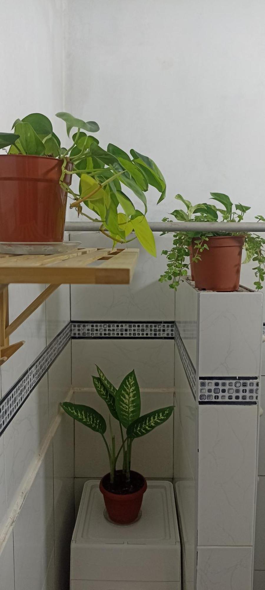 Casita Libertad Barranco Apartment Лима Екстериор снимка