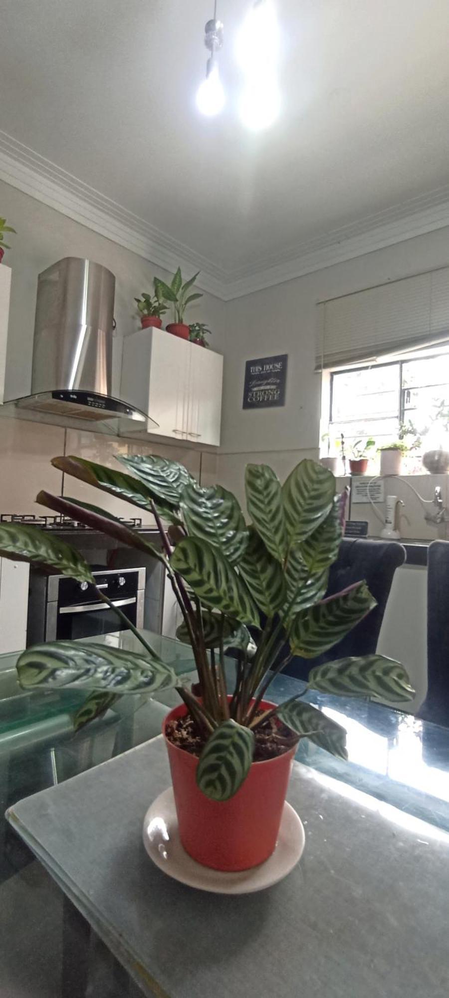 Casita Libertad Barranco Apartment Лима Екстериор снимка