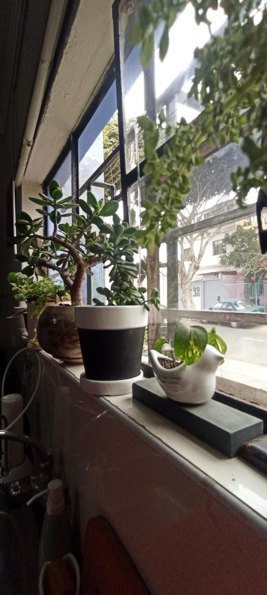 Casita Libertad Barranco Apartment Лима Екстериор снимка